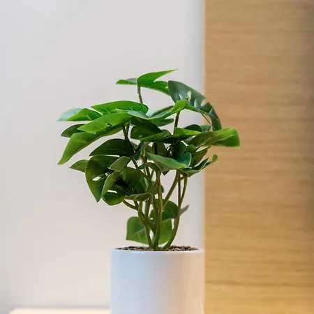 Dunja Zepterme Apartment *